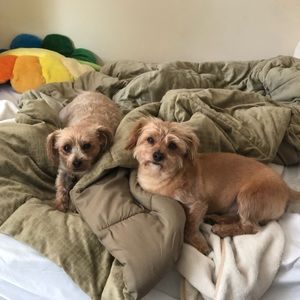 Meet your Posher, Fernando